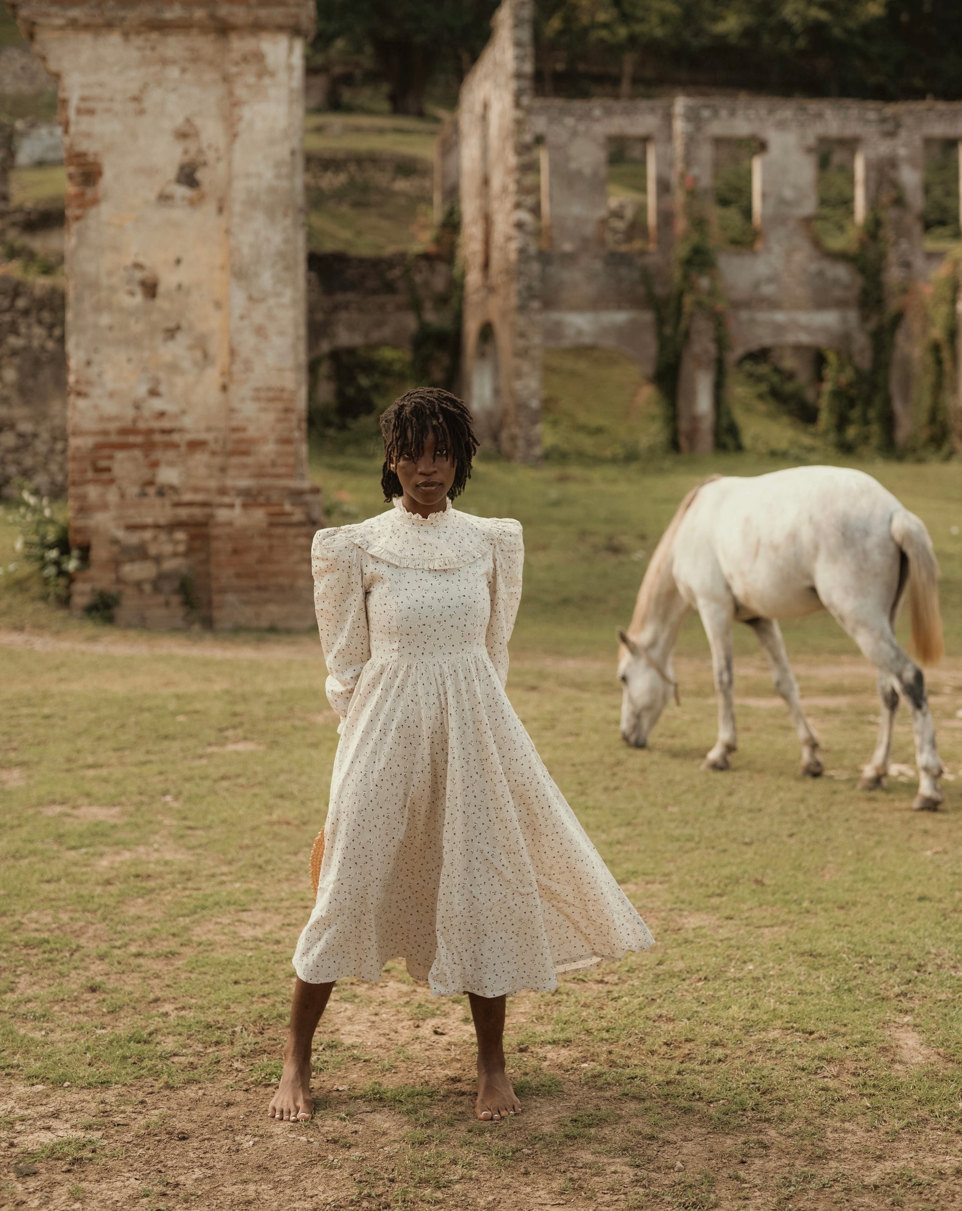 Laïka au Palais Sans-Souci